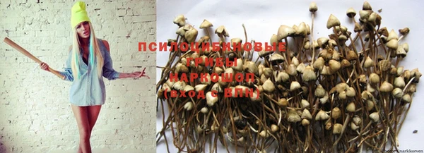 герыч Абаза