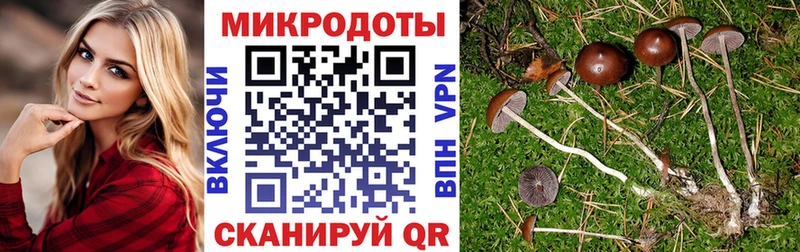 Галлюциногенные грибы прущие грибы Щёлкино
